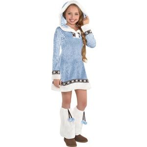 Arctic Princess  Costume in Large (12-14 years)